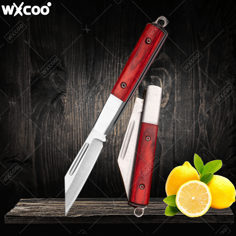 Kitchen Gadgets And Accessories - Coltello tascabile in acciaio inossidabile Manico