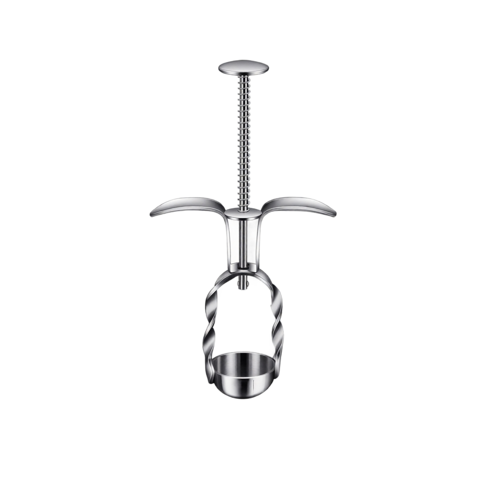 Strumento per la Rimozione dei - Kitchen Gadgets Tools recensione e prezzo